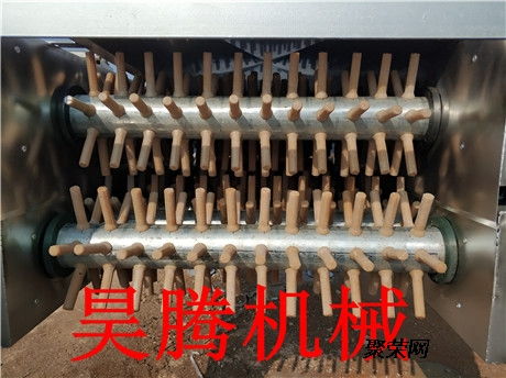 22轴乳鸽脱毛机生产厂家