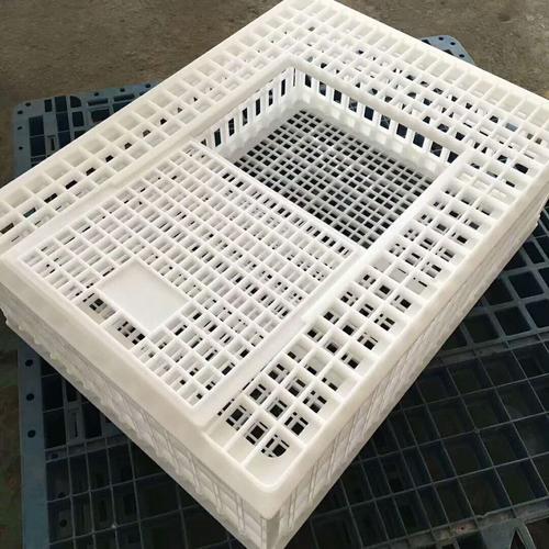 家禽批发厂家价格_家禽生产厂家 - 007商务站